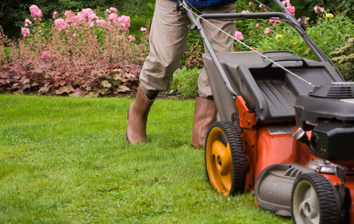 Make the Most of the Uber for Lawn Mowing App