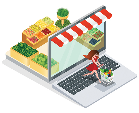 Reasons You Should Adopt the Online Grocery Delivery Script for Your New Grocery Delivery Startup