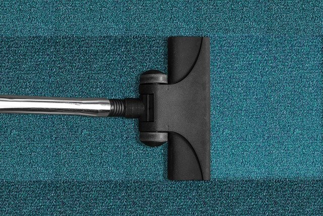 Why You Need Professional Commercial Carpet Cleaning Services