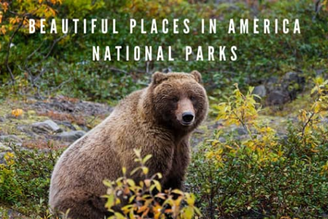 america national parks