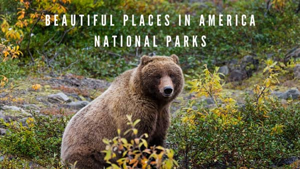 america national parks