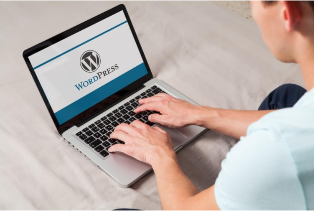 WordPress Website Beginners
