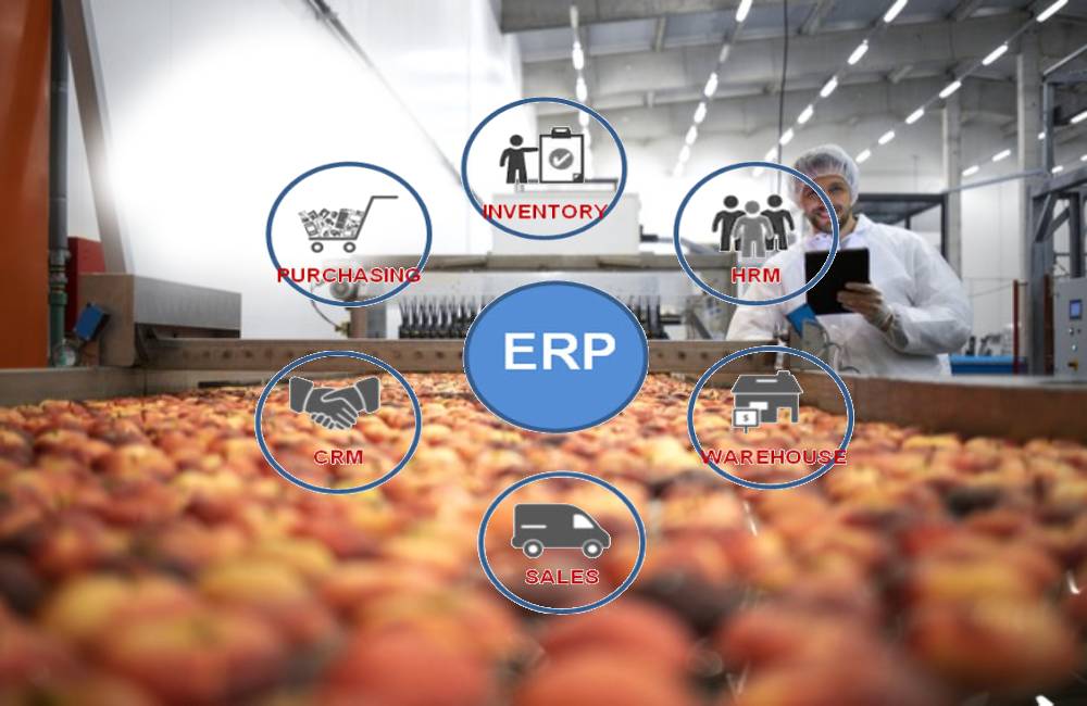 ERP Systems in Food Safety and Traceability