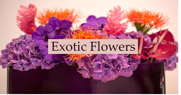 exotic flowers