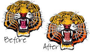 online embroidery digitizing