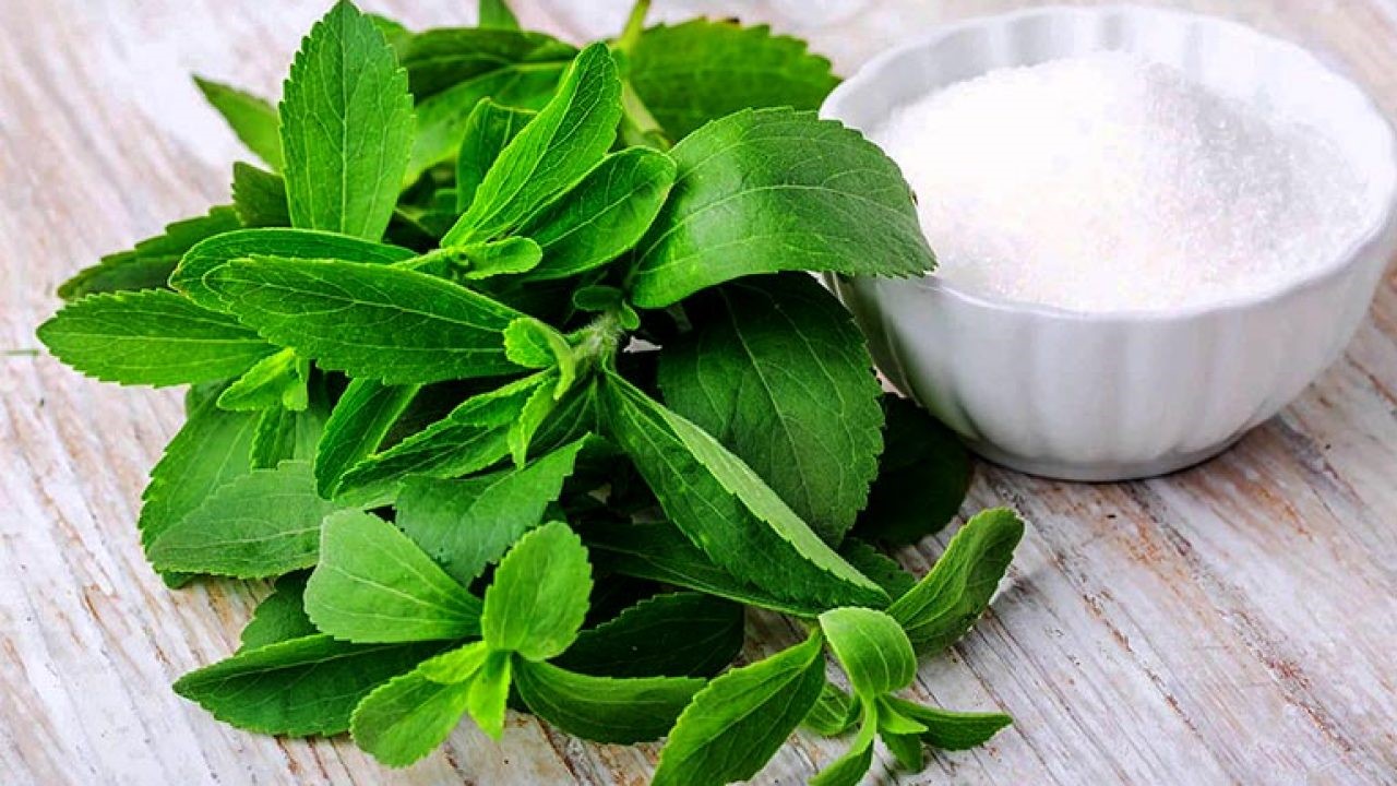 stevia sweetener products