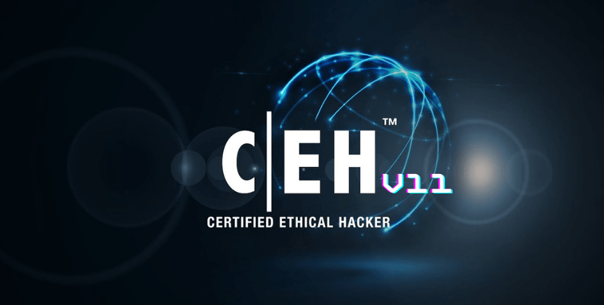 Ethical hackers