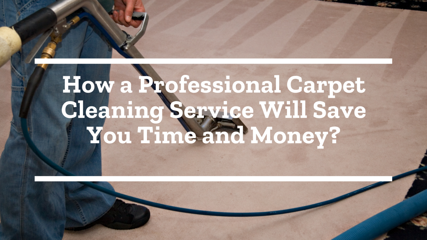 Professional Carpet cleaning company