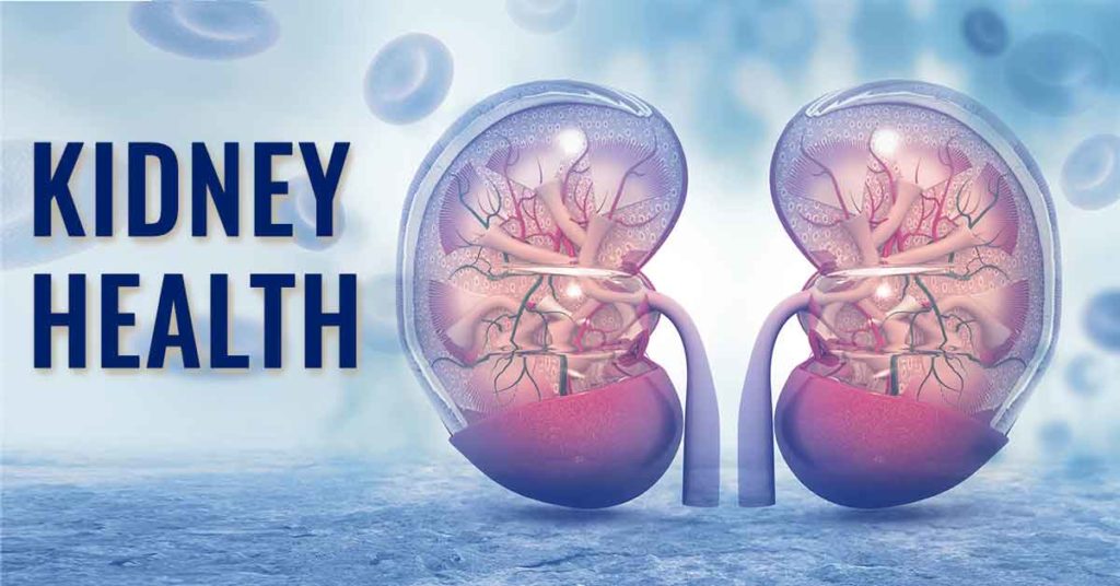 Ensure Your Kidney Cleansing Through Various Ways