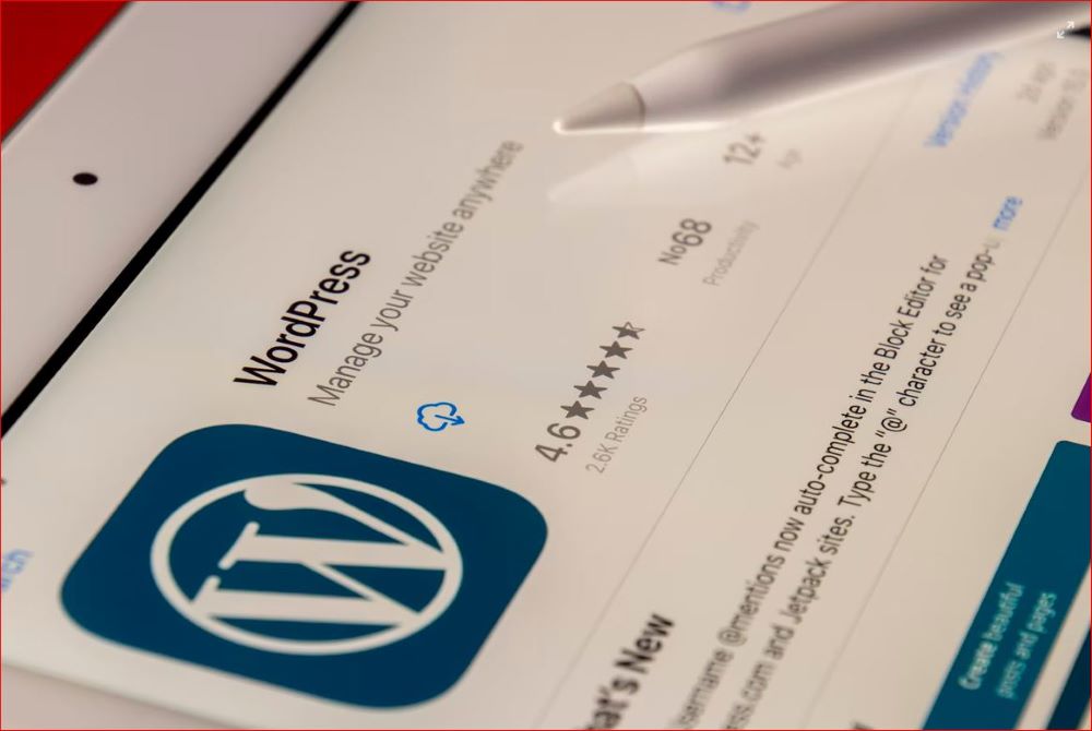 Become a WordPress expert? Learn these 5 methods in 2021