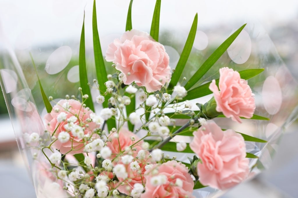 How to Arrange a Carnation Flower in Bouquet Like a Pro?