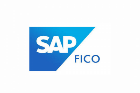 SAP FICO Training in Delhi