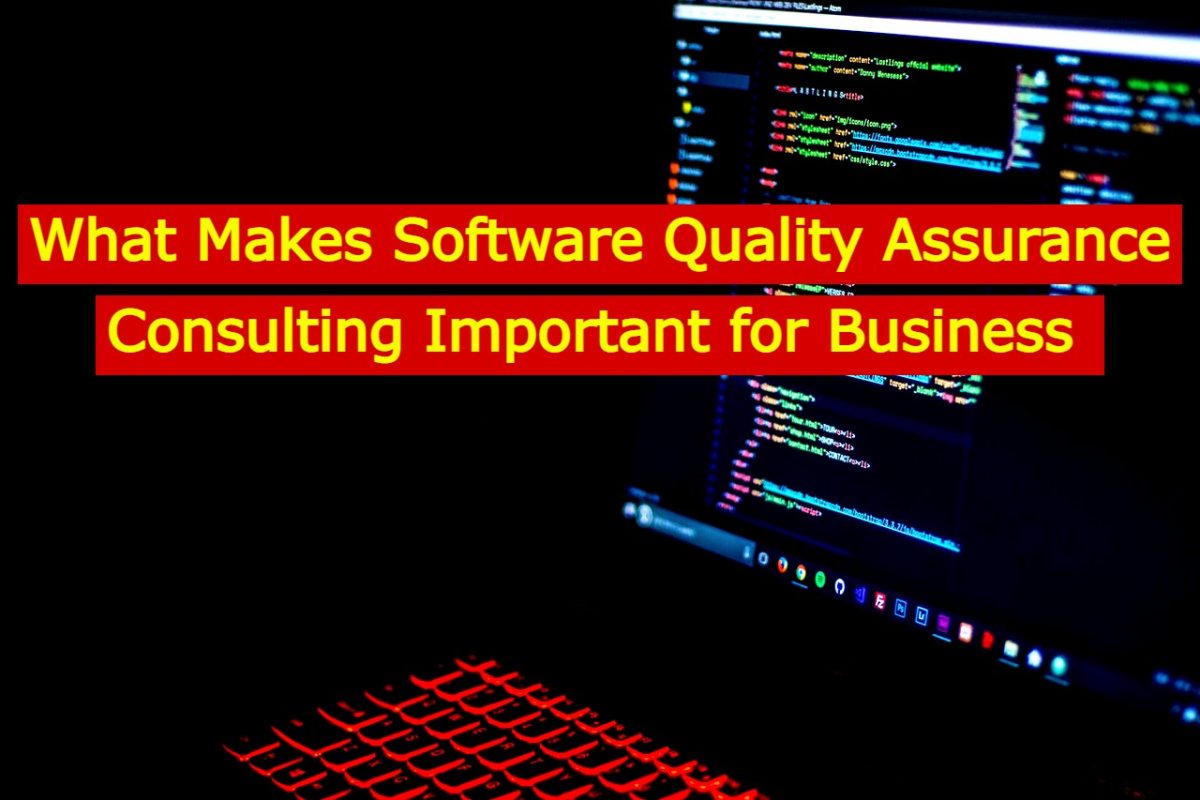 What Makes Software Quality Assurance Consulting Important for Business