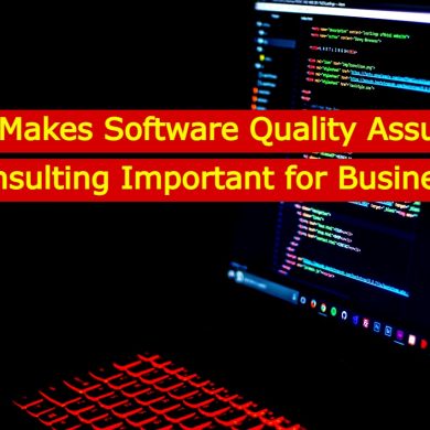 software quality assurance consulting