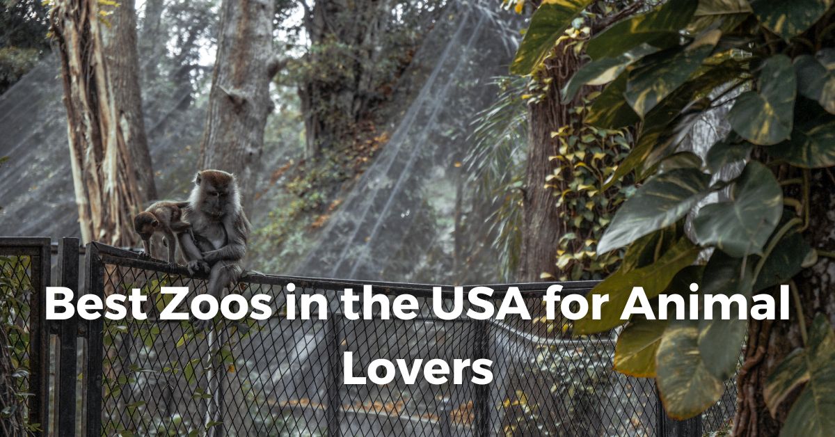 top zoos in usa