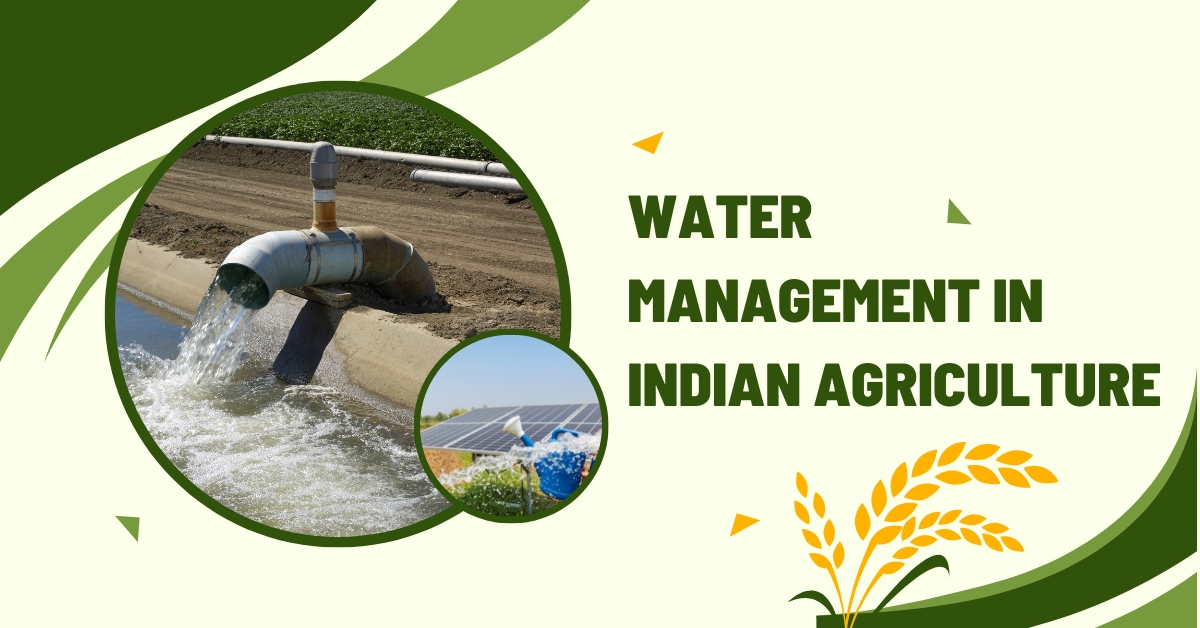 Water Management in Indian Agriculture