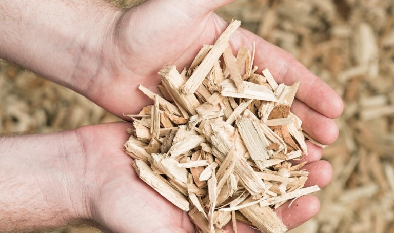 Wood Chips For Grilling