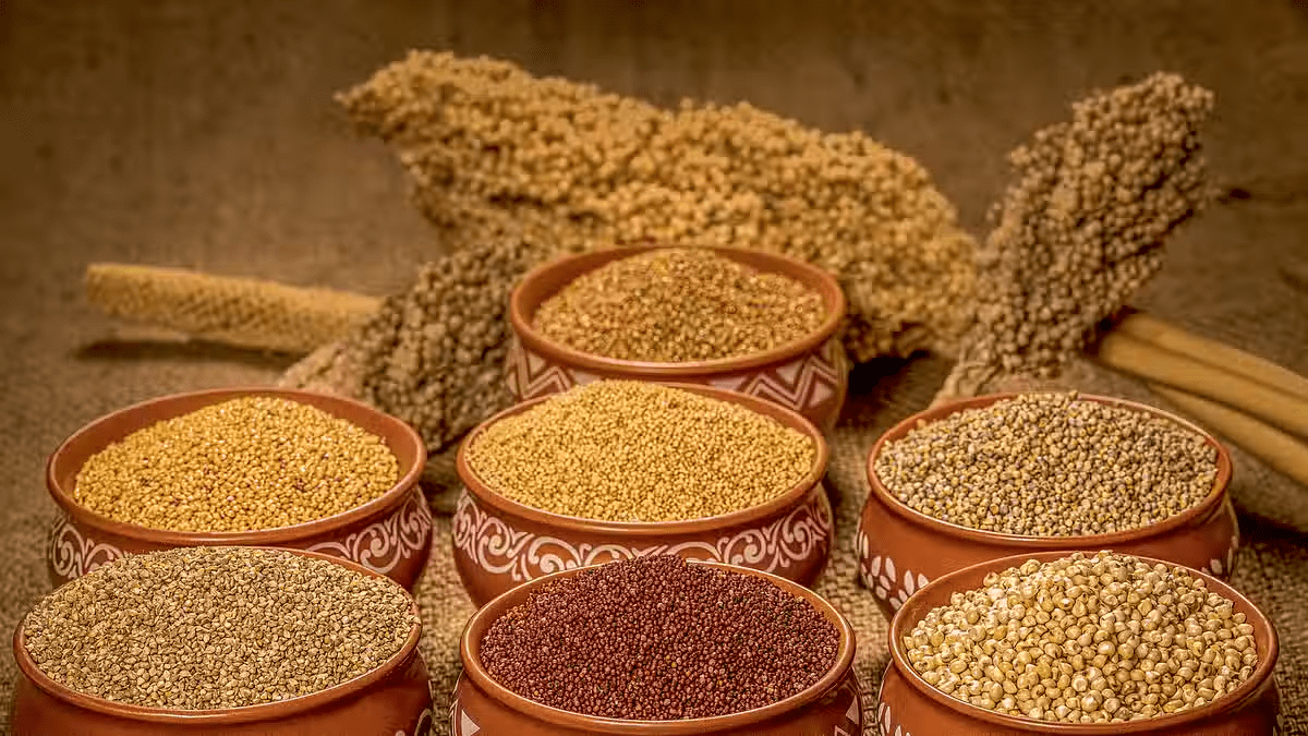 future of millet market
