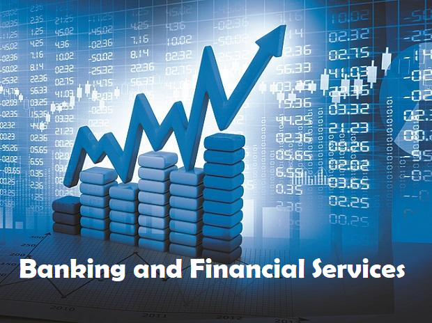 b.voc banking and financial services