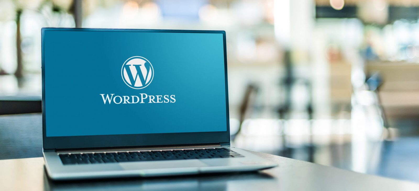 custom wordpress development services