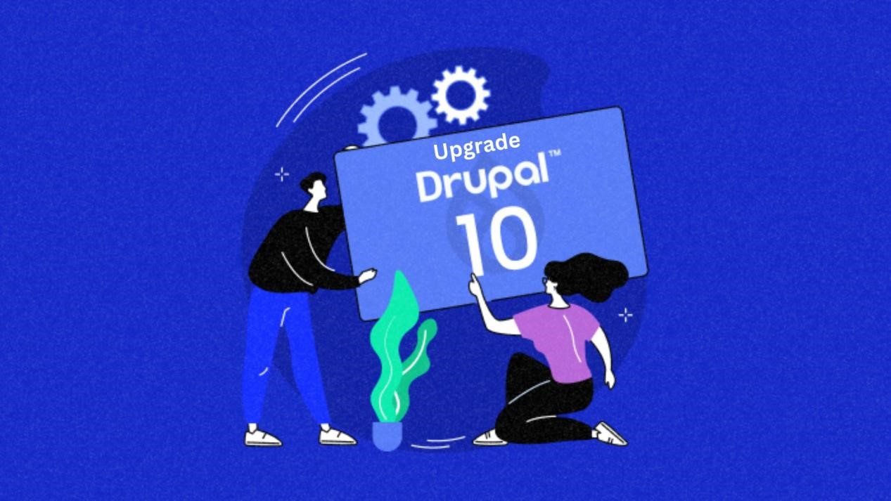 drupal 10 web development