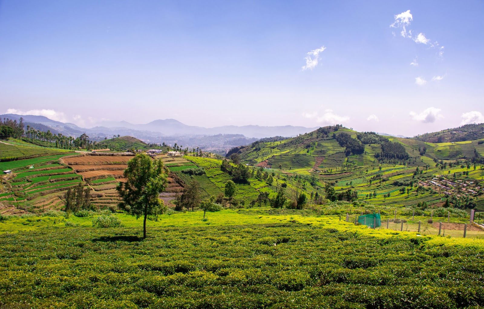 villa in coonoor