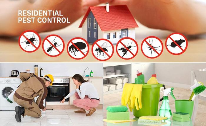 pest control rajasthan