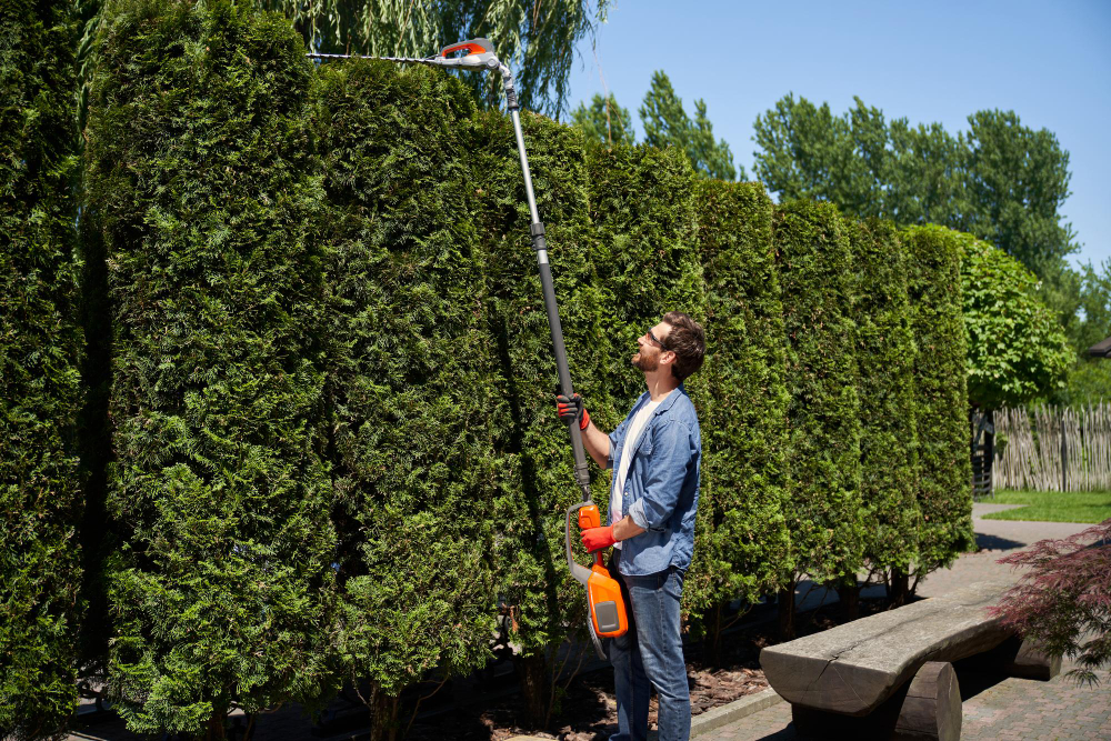 landscape maintenance