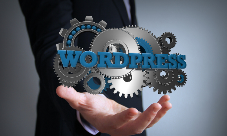 wordPress SEO
