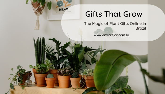 plant gifts