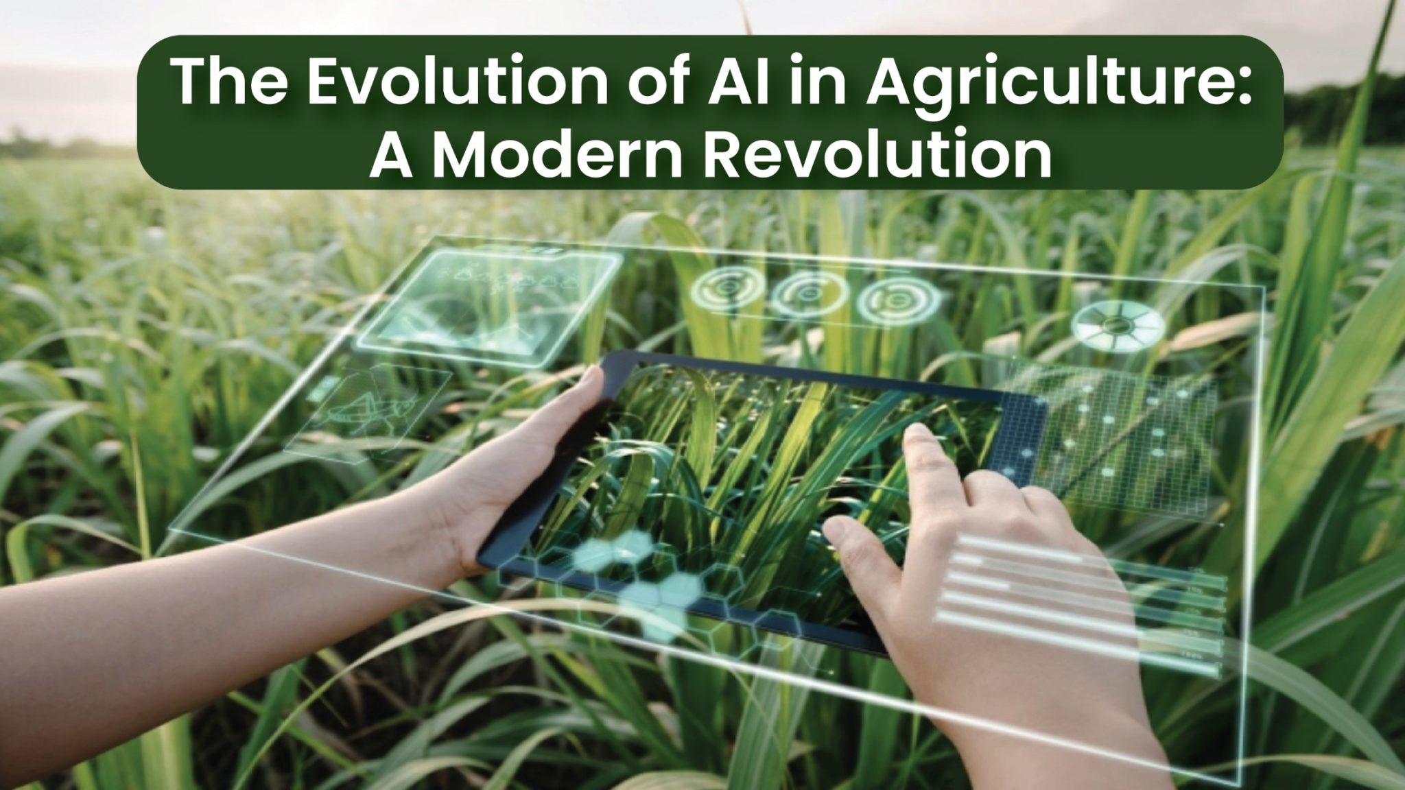 The Evolution of AI in Agriculture: A Modern Revolution