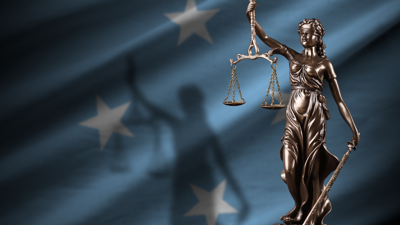 federal criminal appeal lawyer