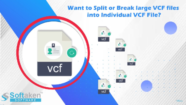 vcf contact