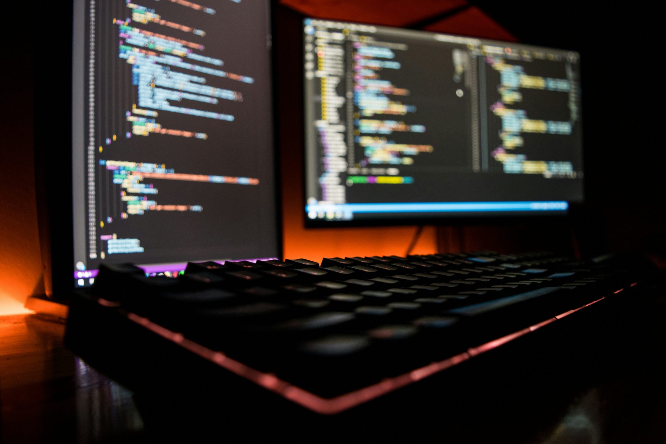 custom software development