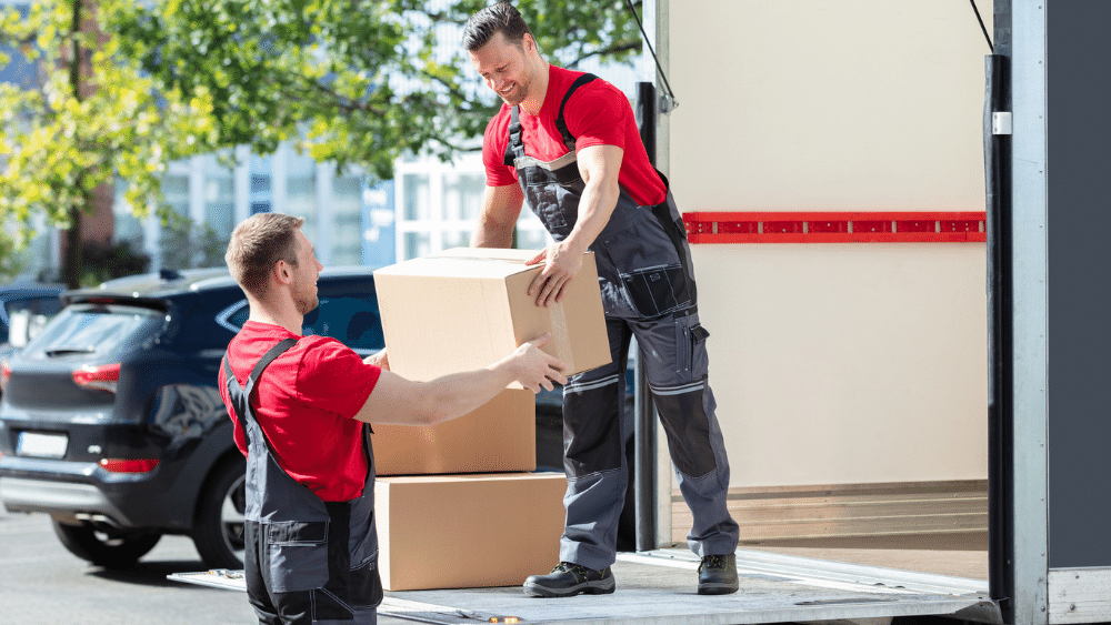 mover company