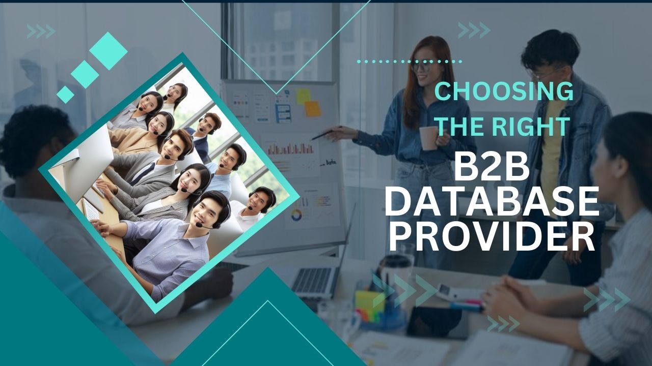 b2b database provider