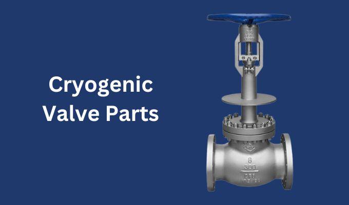 cryogenic valve