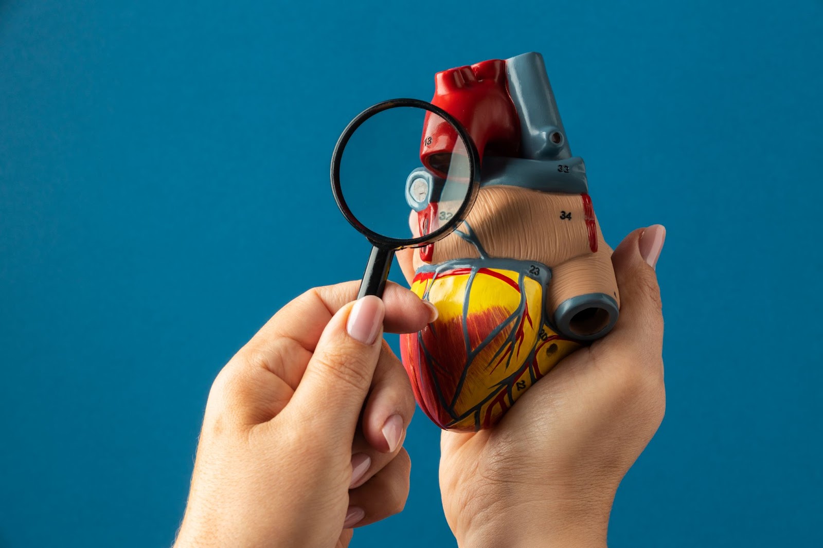 ldl cholesterol