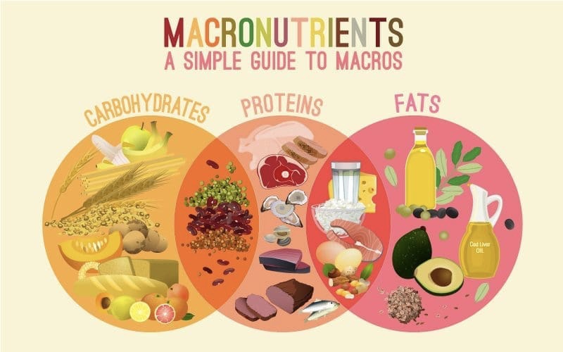 macros