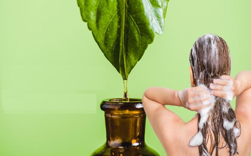 ayurvedic shampoo online