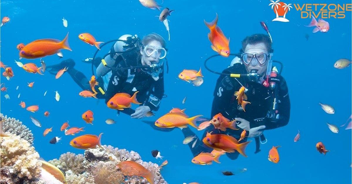 diving day trips