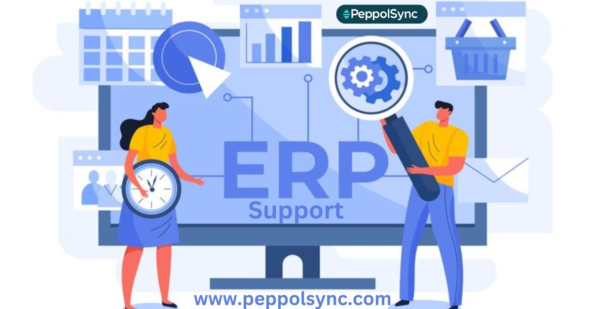erp support