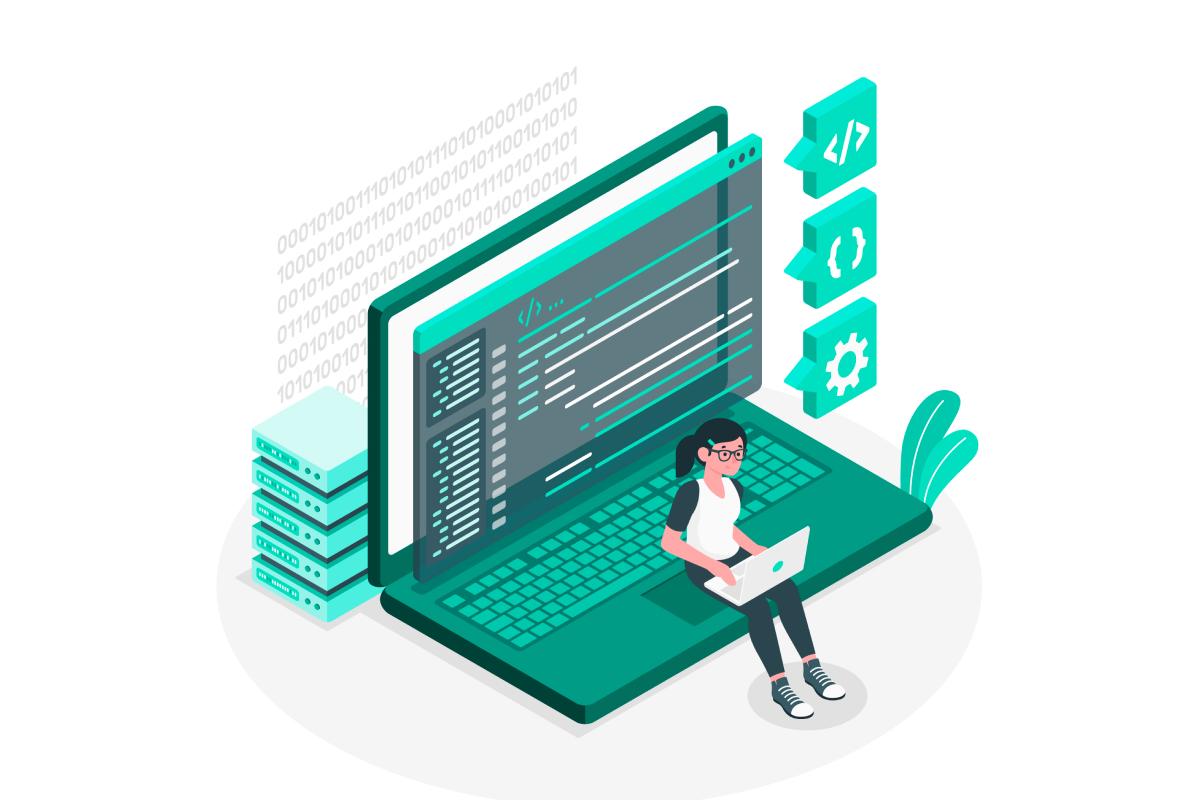 .net development