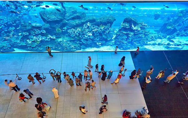 dubai mall aquarium