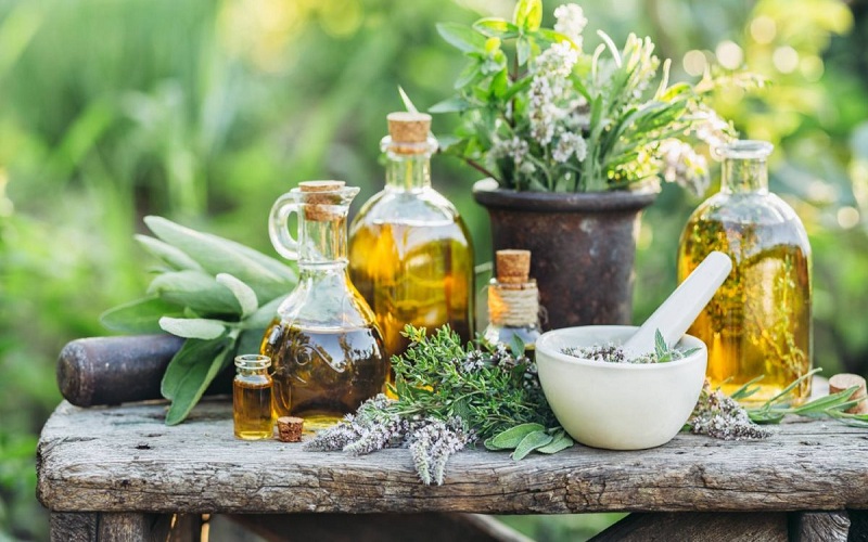 herbal cosmetics companies