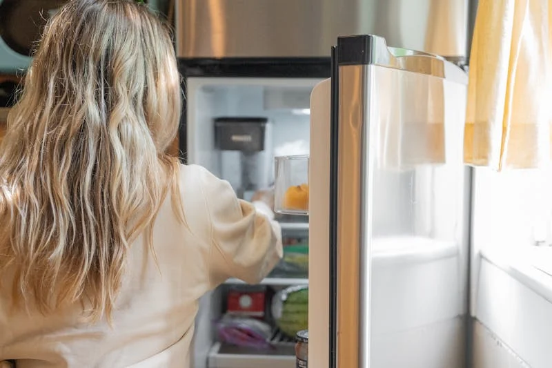 Fridge 