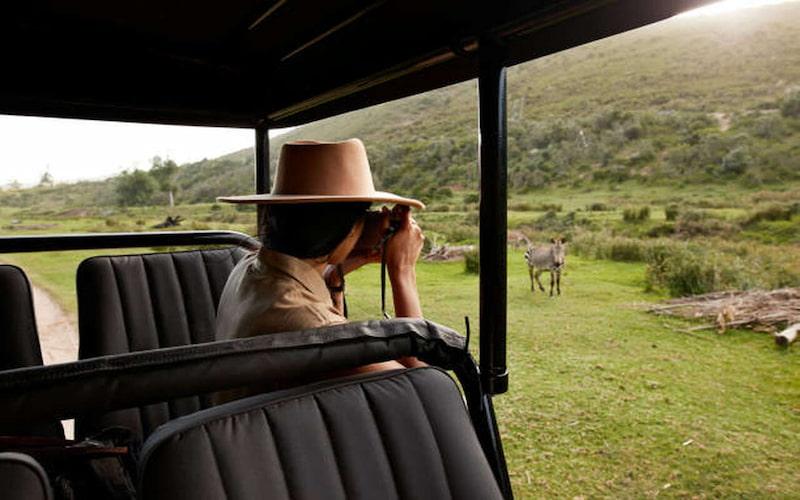 wildlife