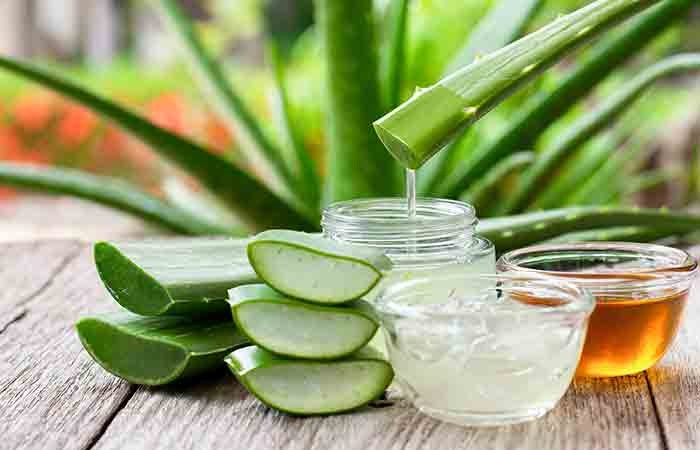aloe vera industry