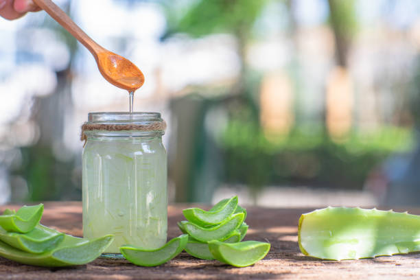 aloe vera market in uae