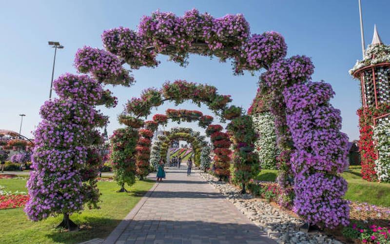 dubai miracle garden